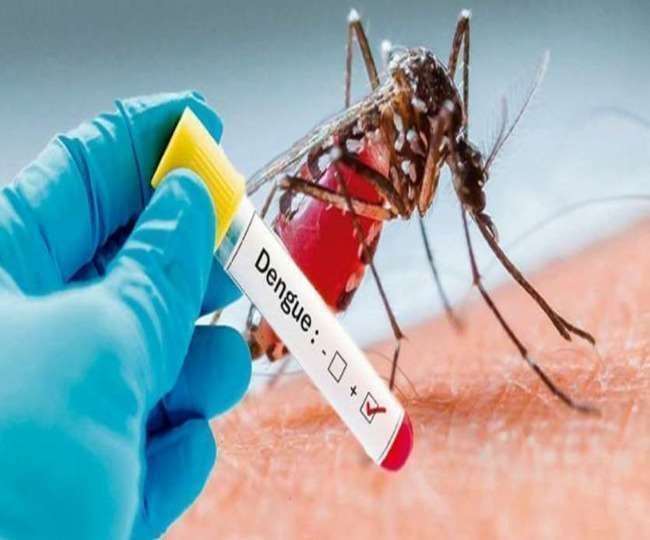 डेंगू से सावधान, 300 पार हुई मरीजों की संख्या