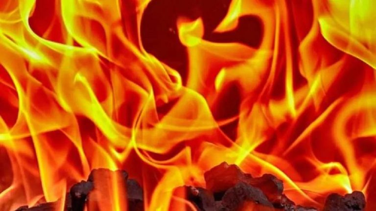 दर्दनाक हादसा : युवक ने सास-ससुर, पत्नी और दो बच्चों को जिंदा जलाकर उतारा मौत के घाट