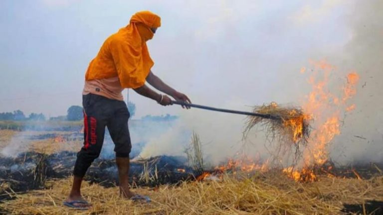 पराली जलाने के मामले में अव्वल नंबर में आया पंजाब