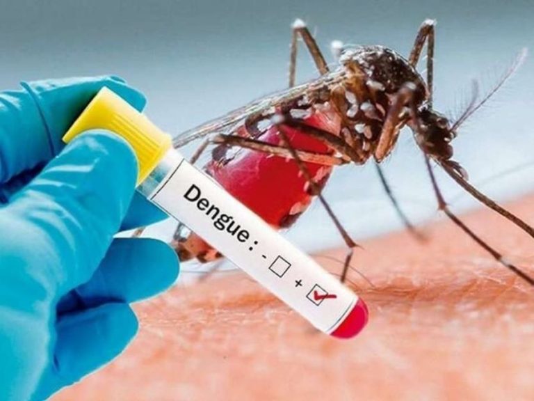 डेंगू के मरीजों में लगातार बढ़ोतरी, दो दिन में 38 नए मामले आए सामने