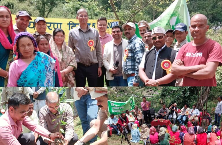 कठूड गांव में विश्व पर्यावरण दिवस पर वृक्षारोपण कार्यक्रम का आयोजन