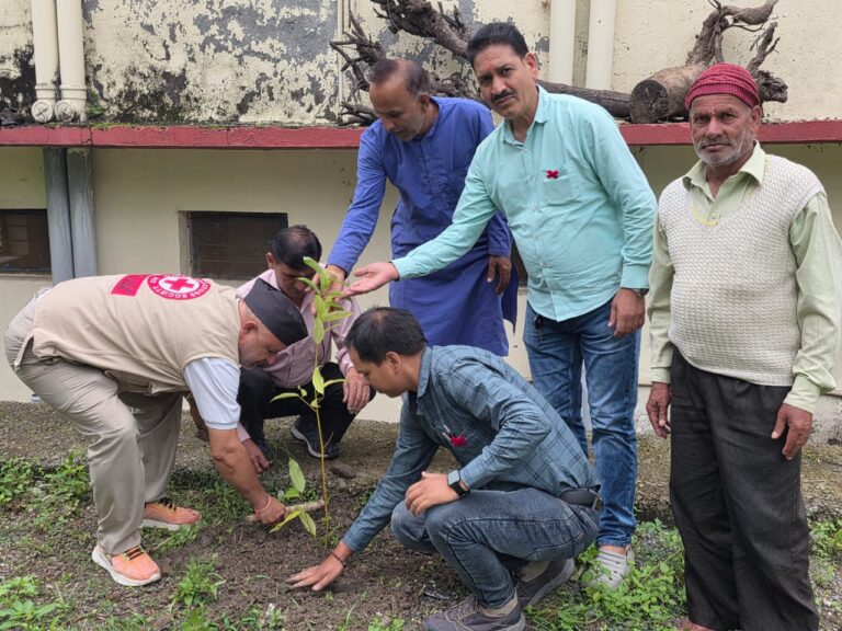 रेडक्रॉस कार्यकर्ताओं ने नागथात में किया वृक्षारोपण, जनसेवा और पर्यावरण संरक्षण का दिया संदेश
